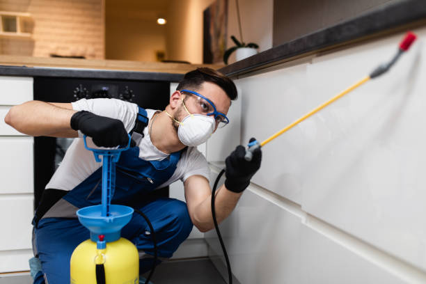 Reliable Shaker Heights, OH Pest Control Solutions