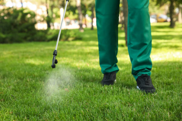 Best Best Pest Control Companies  in Shaker Heights, OH