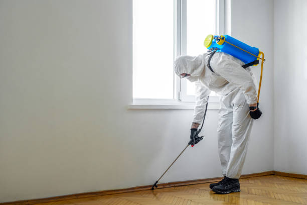 Best Affordable Pest Control Services  in Shaker Heights, OH
