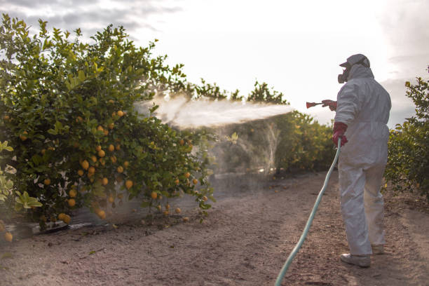 Best Mosquito Control Services  in Shaker Heights, OH