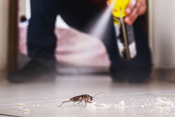 Best Pest Prevention Services  in Shaker Heights, OH