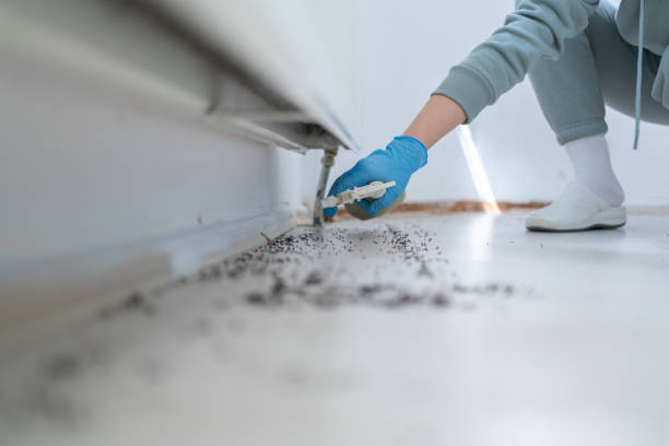 Best Pest Removal Services  in Shaker Heights, OH